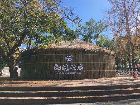 【初鹿牧場】
牧場園區面積約有72公頃,飼養了250頭乳牛。牧場內規劃有放牧區、滾草區、餵食區、森林浴區;一望無際的綠油油牧草地,一隻隻黑色相間的乳牛點綴其間,形成一幅充滿牧場野趣的優美景致;還可親手拿著新鮮牧草餵牛,與可愛的乳牛做近距離接觸;還可自由參加乳牛榨乳秀、親子騎馬趣、彩繪肥牛DIY、牧場趣味活動..等系列的春節活動喔。