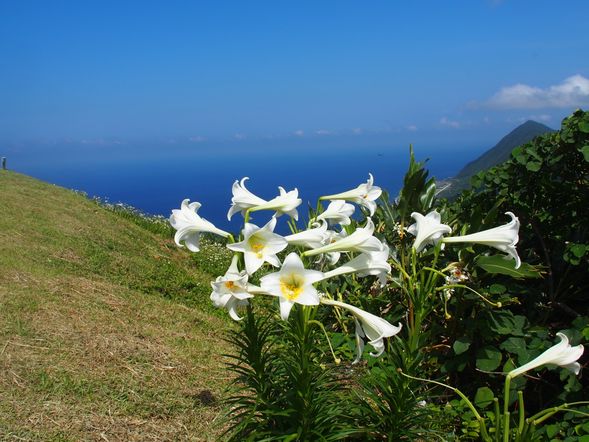 騎乘機車環遊蘭嶼美景享受這難得的悠閒