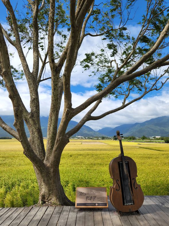 池上伯朗大道單車(自費)