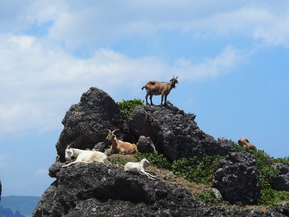 騎乘機車環遊蘭嶼美景