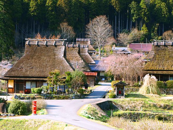美山町自由散策(50分)
