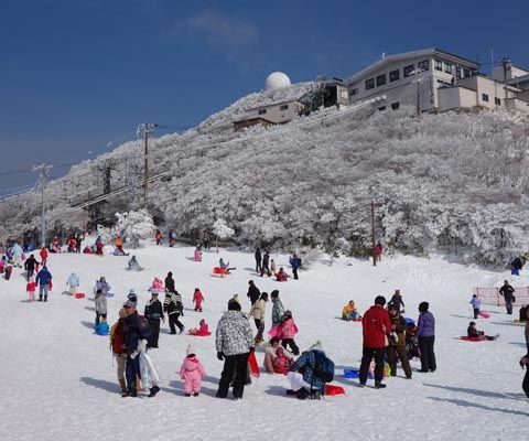 山上公園站玩雪盆