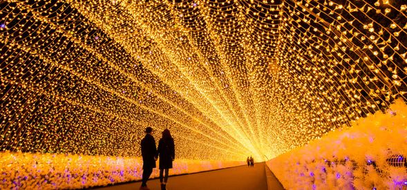 名花之里(120分)