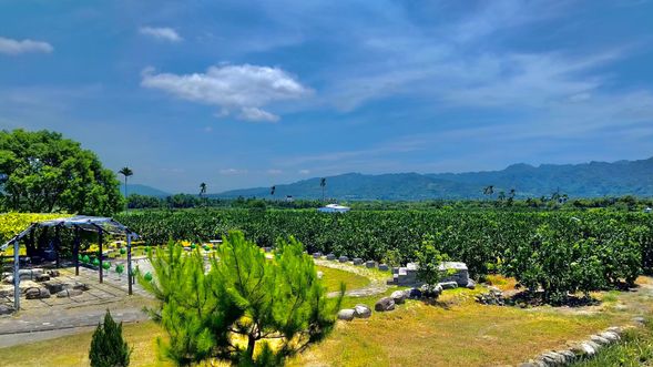 眺望果園的地形地景