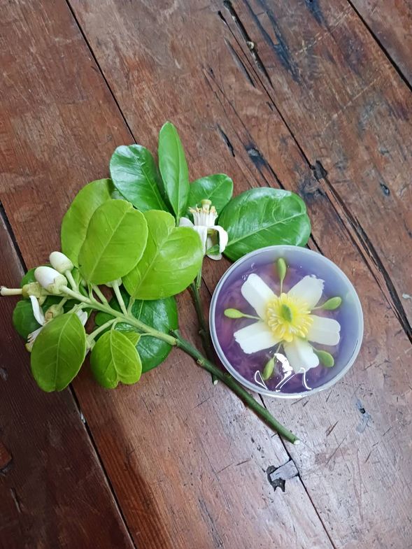 完成一項美味的作品