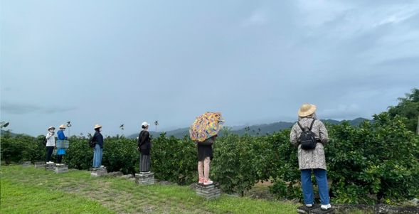 2. 導覽果園、眺望地景、舒展身心