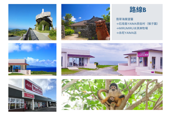 路線B.翡翠海展望臺→石垣島yaima民俗村(猴子園)→Mirumiru冰淇淋牧場→永旺Yaima店