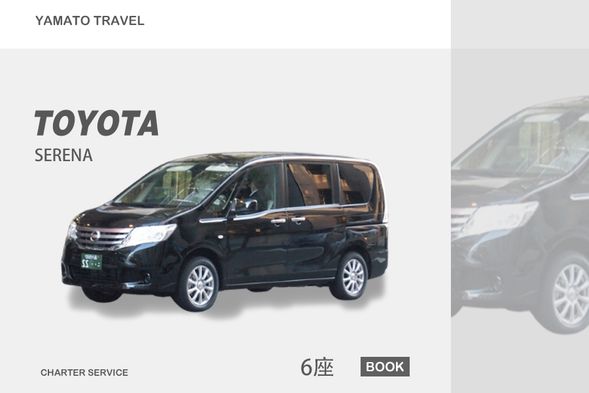 多種車型可選(6座)