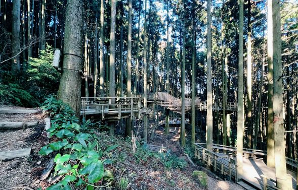 Forest Cafe Midori no Oto(停留70min)
森のカフェ 緑の詩(Forest Cafe Midori no Oto)隱身於森林中的網紅咖啡廳,以竹林環繞的露台座位聞名。可在大自然環境中享用咖啡與甜點,感受療癒慢活時光。