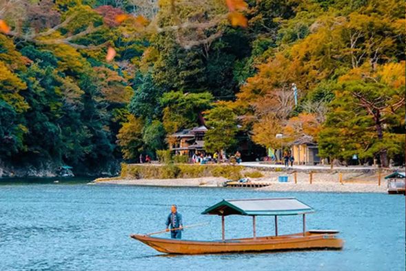 嵐山(停留150分鐘)推薦遊覽:天龍寺、嵯峨野竹林、嵯峨野小火車