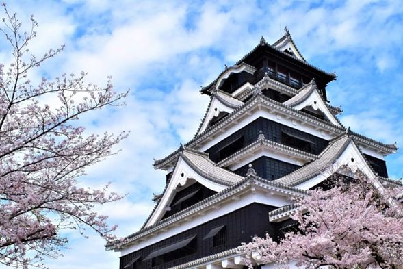 【熊本城】 熊本城,始建於1601年並於1607年竣工,是豐臣秀吉的重臣加藤清正在被封為熊本藩藩主後所建造的堅固城堡。與名古屋城、姬路城齊名,熊本城被譽為日本三大名城之一。城內種植了眾多的銀杏樹,因此也享有「銀杏城」的雅稱。當時,熊本城的規模令人矚目,周長達9公里,覆蓋面積約98萬平方公尺,設有3座堅固的天守閣、49座櫓、18座門櫓以及29道門,展現了其雄偉壯觀的城池風貌。