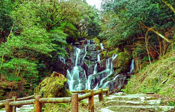 白絲瀑布(停留30min)
位於福岡糸島市的天然瀑布,落差約24米,因水流如白絲般細膩傾瀉而下得名,四周被綠意森林包圍,是著名的避暑勝地。
*如遇冬季道路結冰,將直接前往下一個景點,停留時間分佈到其他景點。