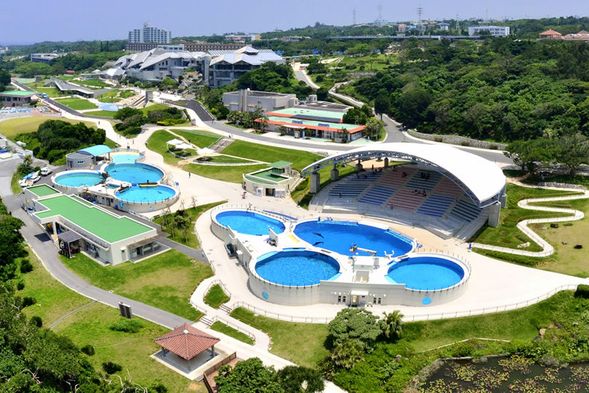 海洋博公園,自由散策。