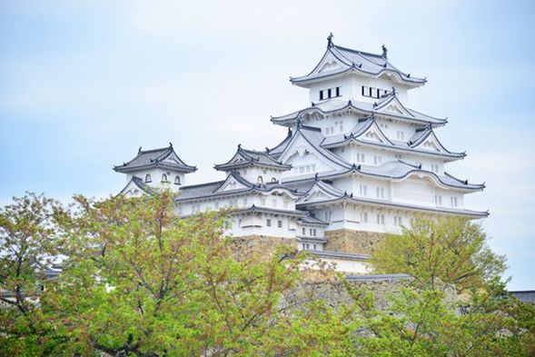 姬路城又稱白鷺城,既是日本國寶,也是世界遺產地。它同時也是日本的 12 座現存天守之一,是日本歷史愛好者必訪之地。