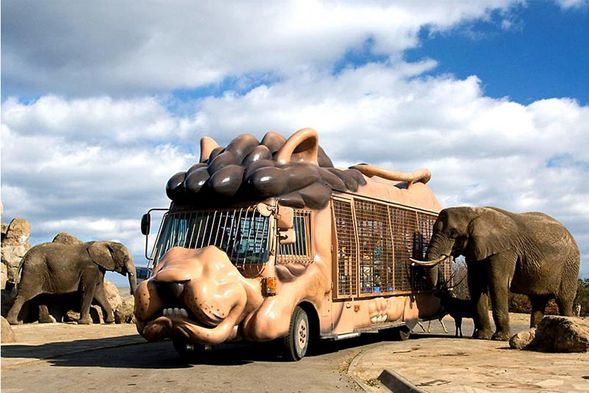 【九州自然動物園】是日本規模頗大的一個野生動物園,園中飼有70多種共1400頭動物。該園區設有一條約6公里長的野生動物觀察道路,名為「大型動物區」,遊客可以選擇自駕或乘坐園方提供的「叢林巴士」來近距離觀賞動物。此外,還有「小型動物互動區」,在這裡遊客能夠直接觸摸和與動物們親密互動。