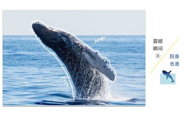 鯨魚滿分動作解析(4)