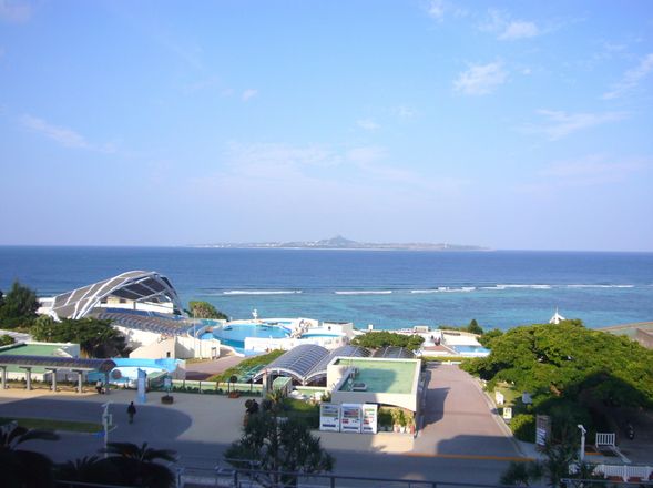 海洋博公園自由散策,停留3.5小時(贈送美麗海水族館門票)
可參考以下行程:
①海牛館&海龜館②海豚劇場海豚表演③自由就餐④水族馆(贈門票 )
具體遊玩時間請根據實際抵達時間,酌情考量。