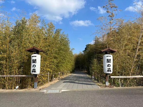 *如遇高峰期可能需排隊40分鐘,午餐費用自理,需現金支付,請悉知。