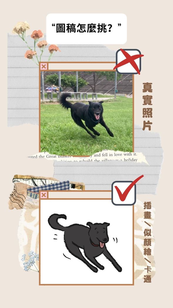 🔹圖檔怎麼挑🔹