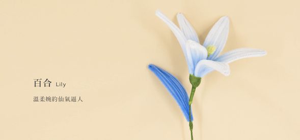 🔹百合