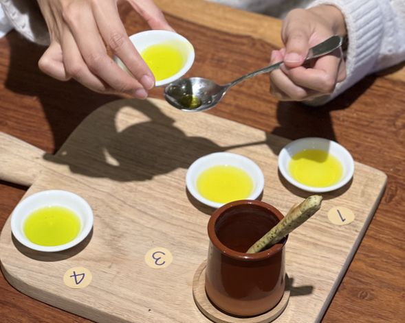 透過實際品油,學習觀察橄欖油其色澤、感受香氣變化、細嚐口感層次,從視覺、嗅覺到味覺全面體驗,感受這份純淨食材帶來的力量與日常的美好。