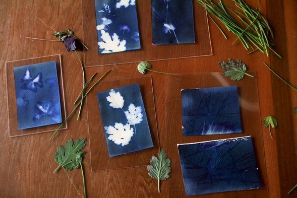 透過植物拼貼、陽光曝光、水洗顯影等步驟,體驗藍曬 cyanotype 這項對環境友善且富有詩意的傳統藝術媒介。