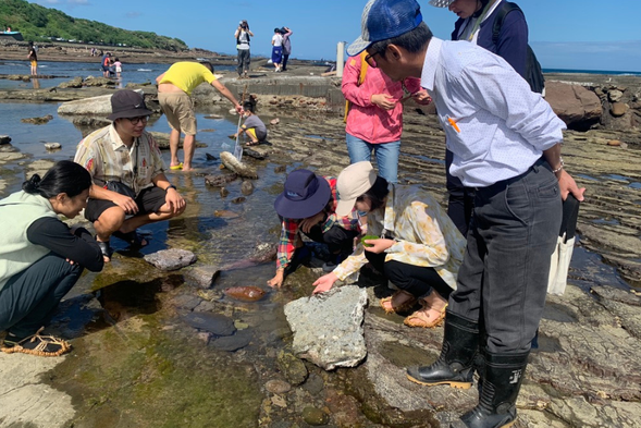 Learn the collection culture of marine