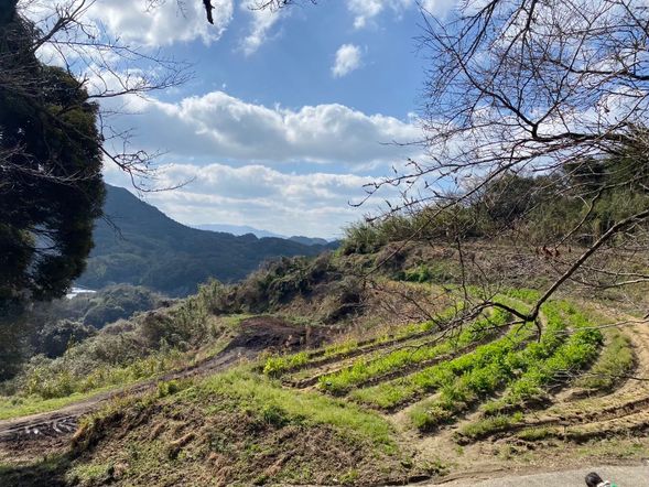 畑で野菜収穫体験!
※畑の場所は変わります。