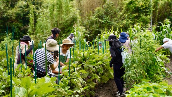 畑で野菜収穫体験!
※畑の場所は変わります。