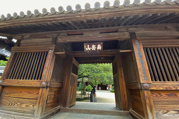 博多の代表スポットをめぐります。