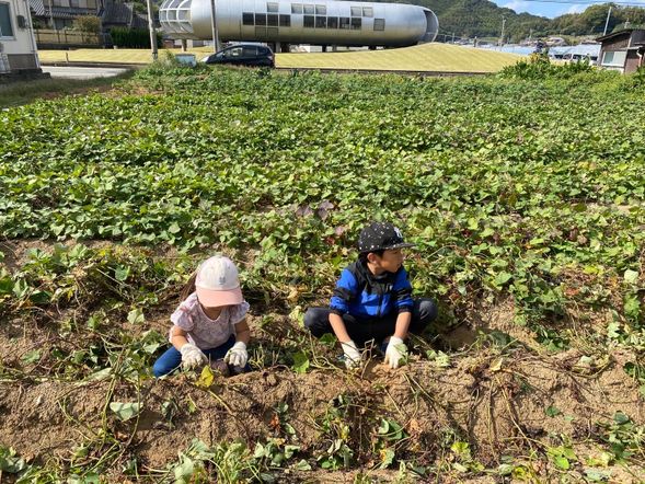 畑で野菜収穫体験!
※畑の場所は変わります。