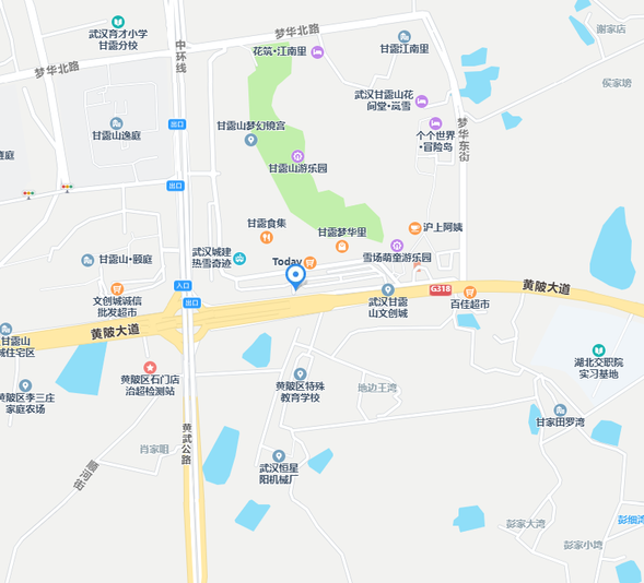 Wuhan Ganlushan BONSKI-0