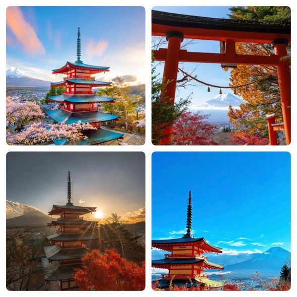 🌄 新倉山淺間公園