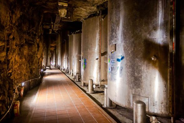 高粱暢飲的坑道
參觀金門酒廠的儲酒坑道,瞭解高粱三道蒸餾工藝,試飲不同階段的酒體風味,深度品嚐島嶼的微醺之旅。