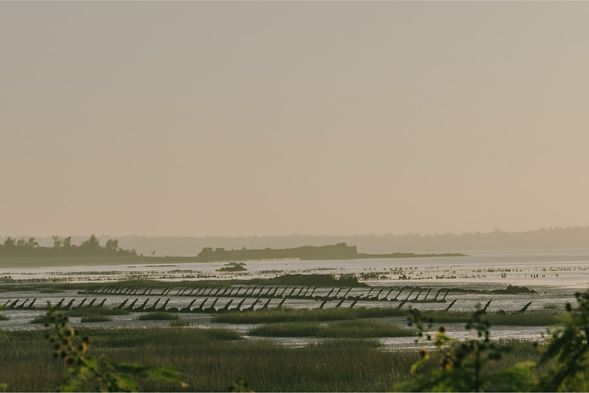 為了防止登陸艇,在海岸線佈防的軌條砦