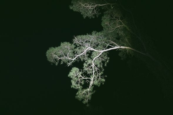 體驗金門獨特的漆黑靜謐