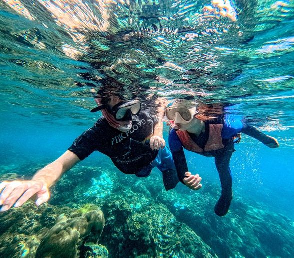 深深地愛上大海吧!