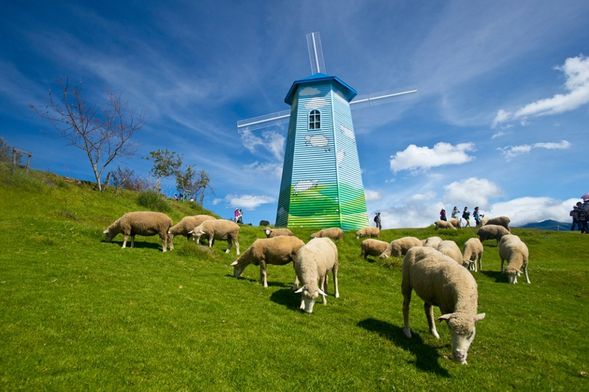 4:台中車站、台中高鐵站、台中市區各大飯店 (需備註飯店名稱) ←『專車接駁』→ 清境農場、約 1.5 ~ 2 小時、如遇塞車,須視塞車情況下去評估所需的時間(所需時間更長)。
