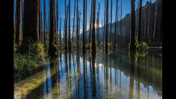 忘憂森林(台中-忘憂森林所需時間大概1小時50分,是路況有所增減)