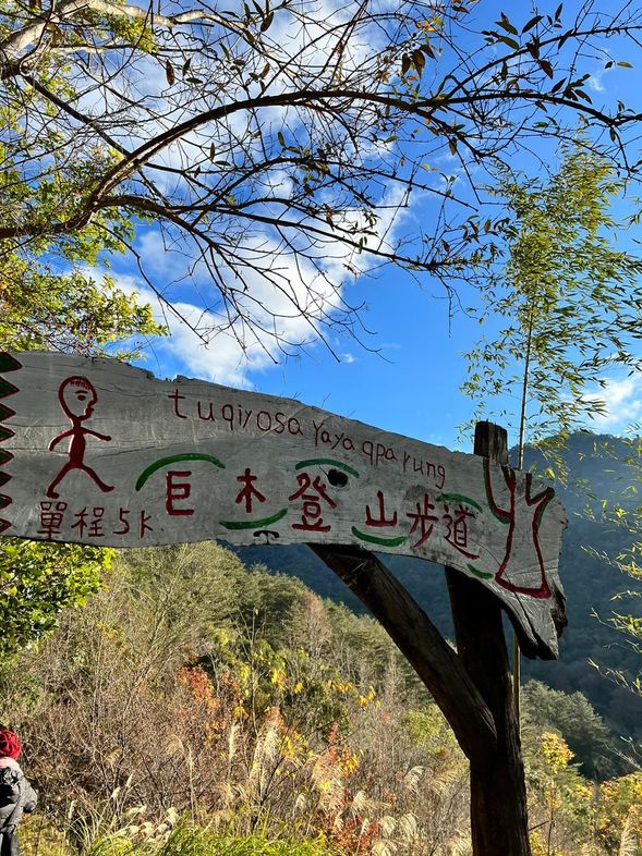 08:00 出發巨木登山步道
