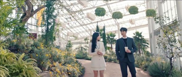 泪之女王拍摄地-日月树木园