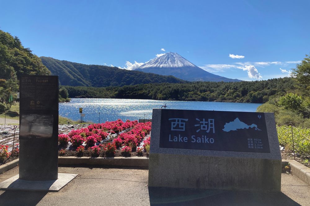 富士観光トラベル