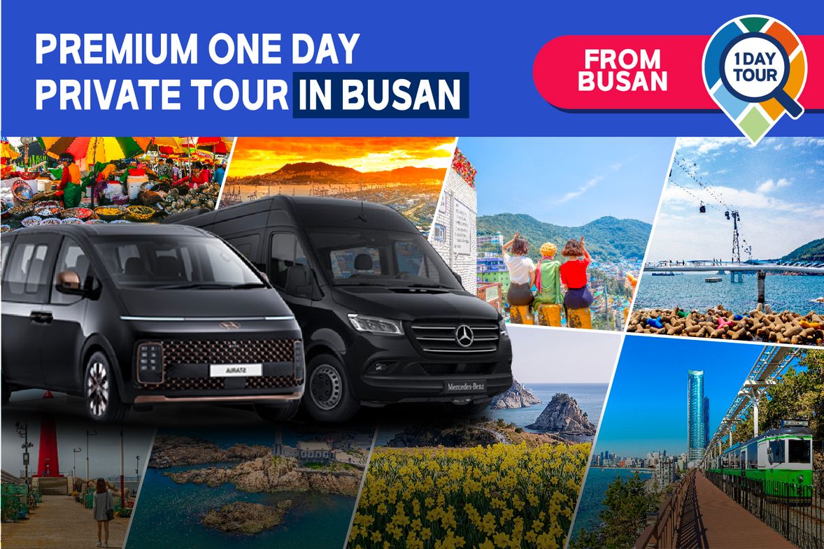 [From Busan] PREMIUM BUSAN ONE DAY PRIVATE TOUR