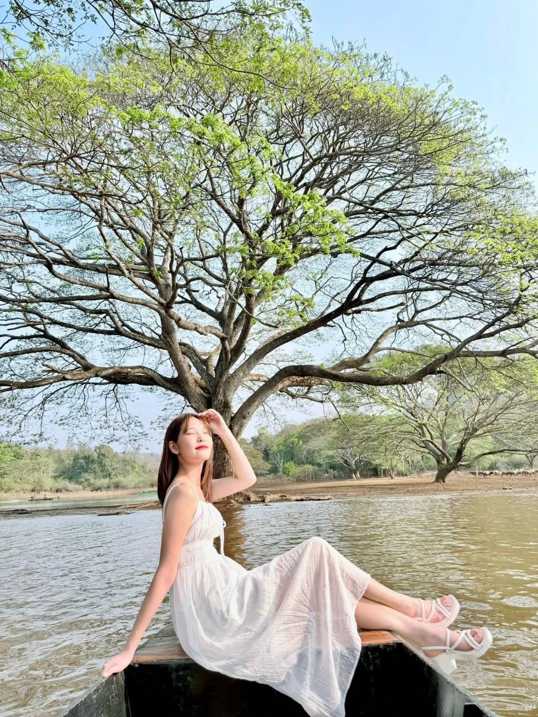 Unseen ChamCha Tree 水中樹奇景純門票+船票