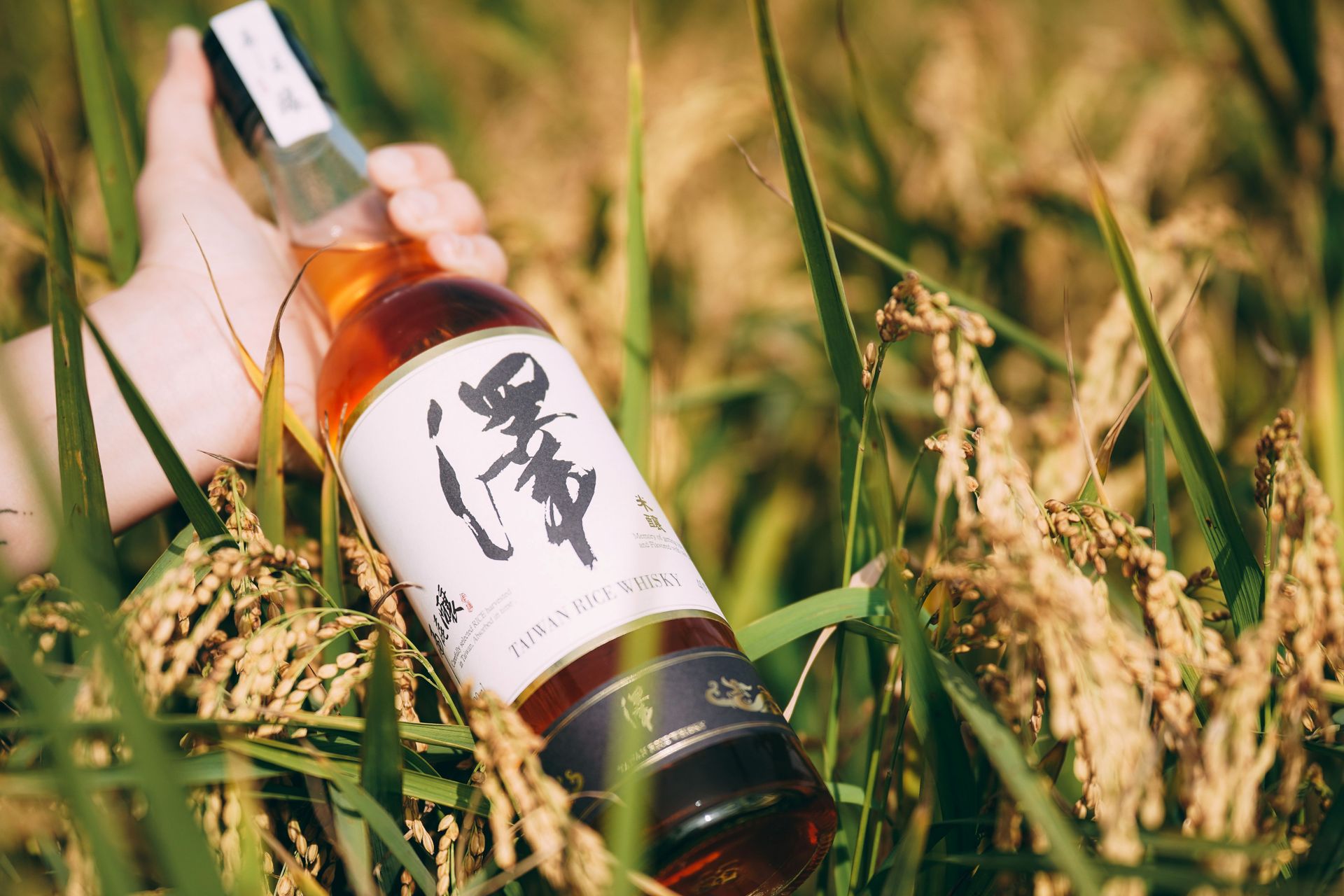 基酒升級 - 米釀威士忌