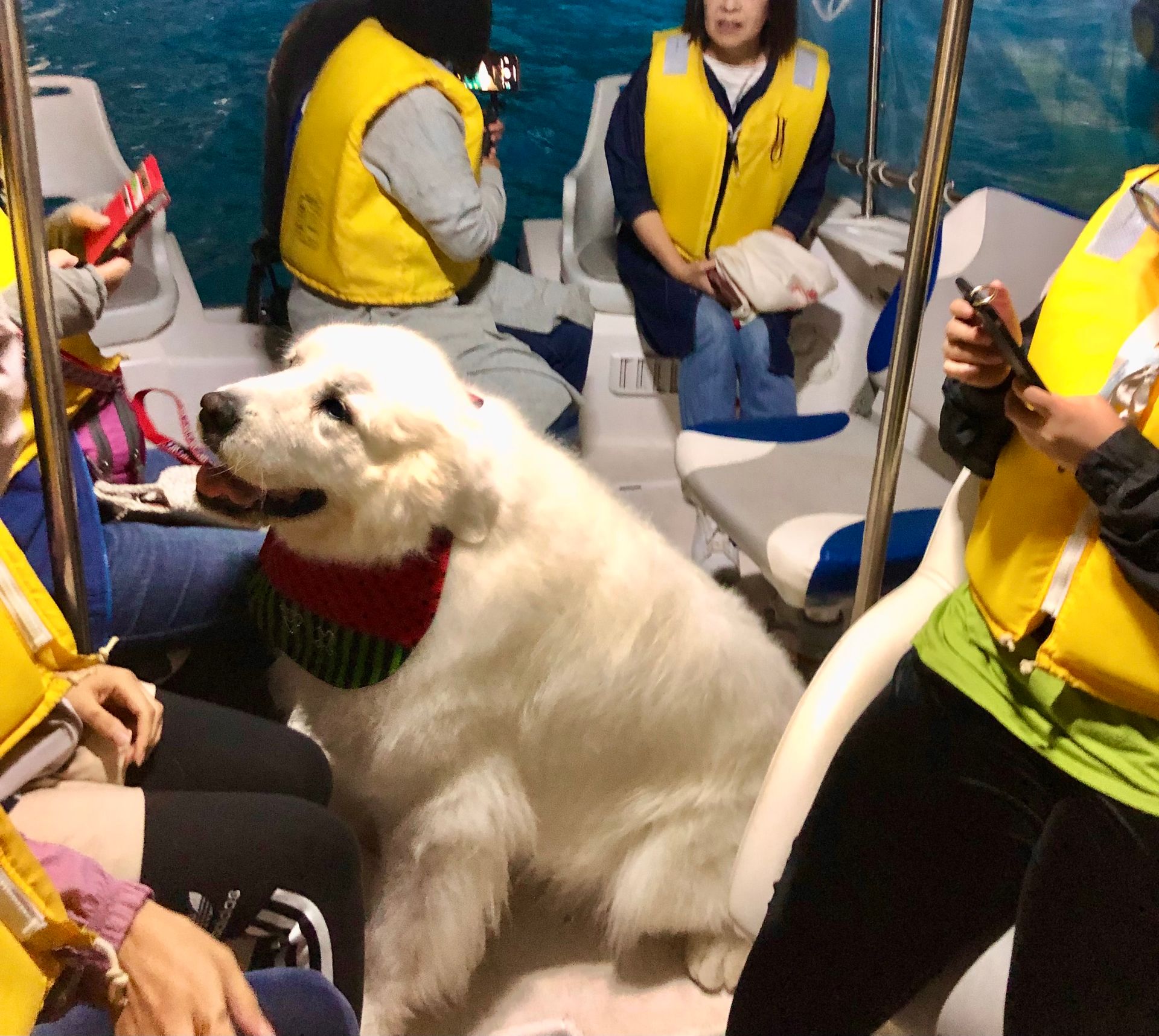 ペット同乗料金(大型犬)