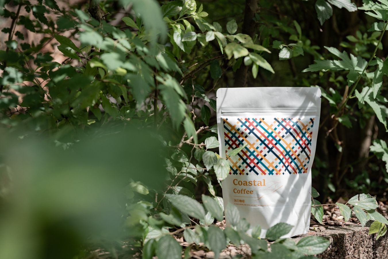 海岸咖啡-蜜處理熟豆