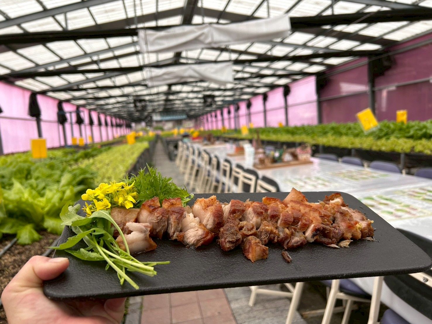 布農烤肉一盤(含生菜)