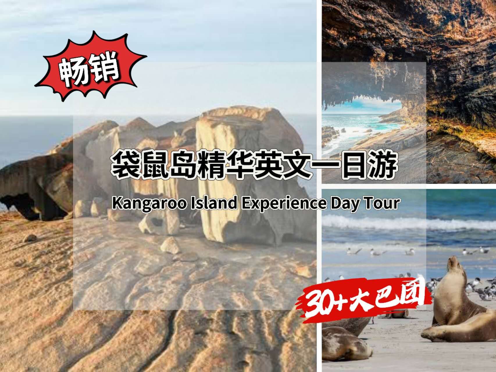 袋鼠岛英文精华一日游 成人(补差升级)