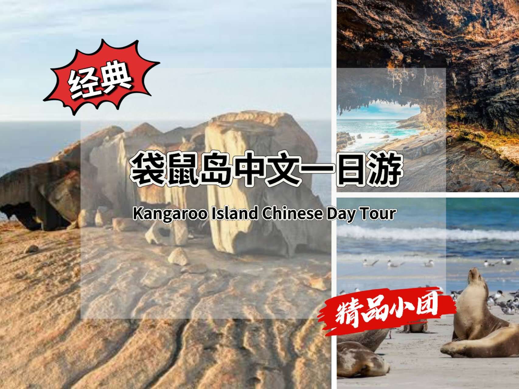 袋鼠岛中文一日游(最多11人小团)成人(补差升级)